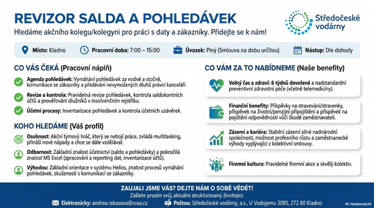 Revizor_Salda_a_Pohledávek